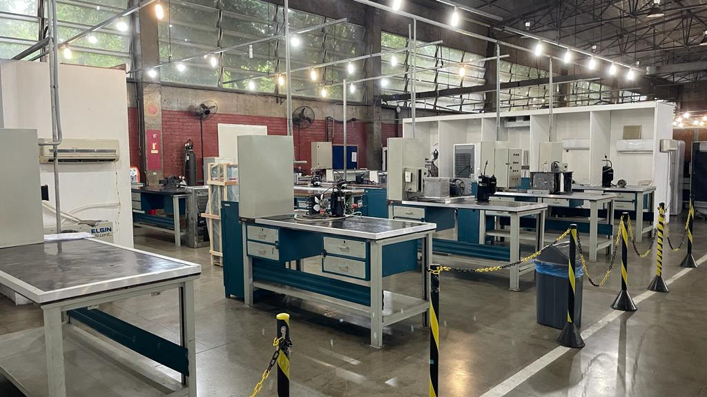 Accumsan commodo defui facilisi